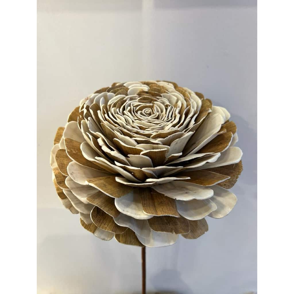 Shola Mix Beli Flower Artificial Stem Spray - 39.5" - Brown and Beige