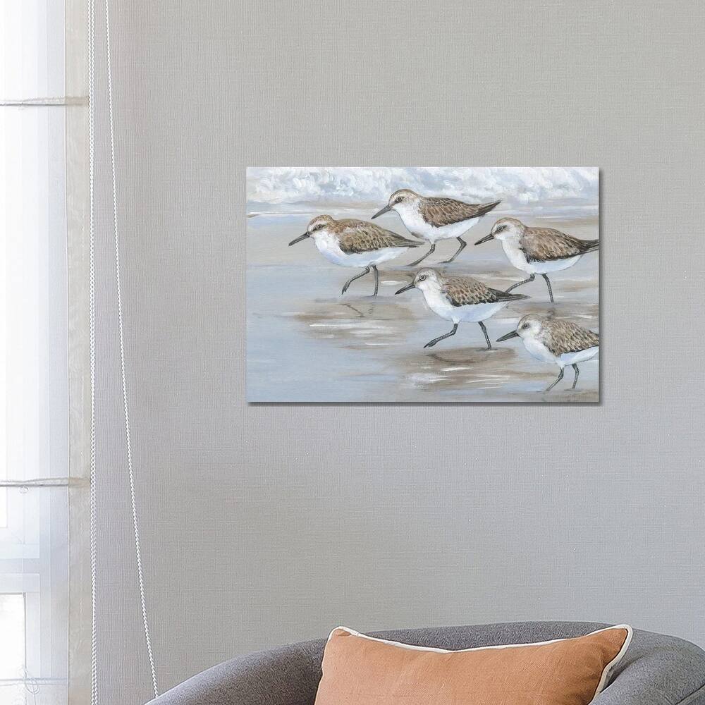 iCanvas "Sandpipers I" by Tim OToole Canvas Print