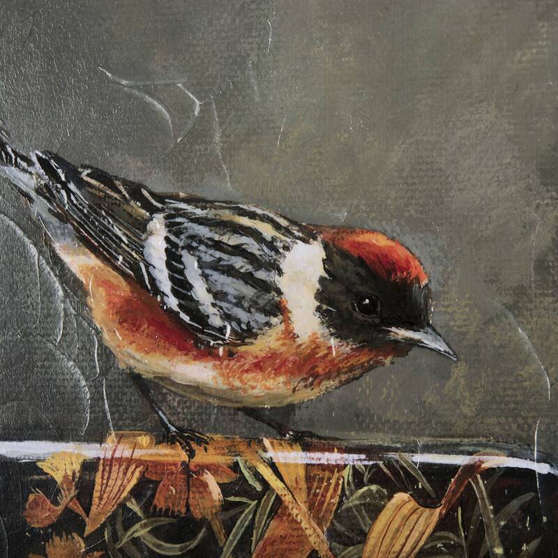 Graceful Poise III (Bay-Breasted Warbler) Framed Art Print