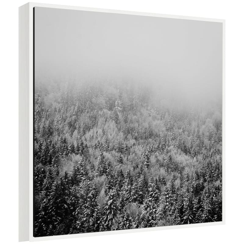 Kate and Laurel Sylvie Framed Canvas Lake Konigsee Snow Covered Trees by Laura Evans - White
