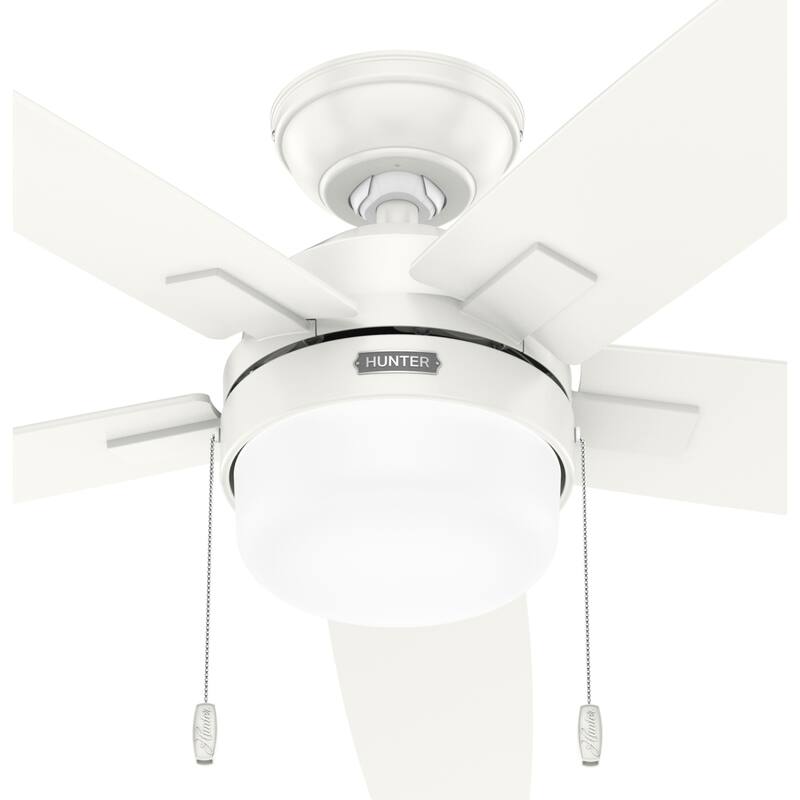 Hunter Anisten Ceiling Fan with LED Light Kit and Pull Chain, Modern, Contemporary