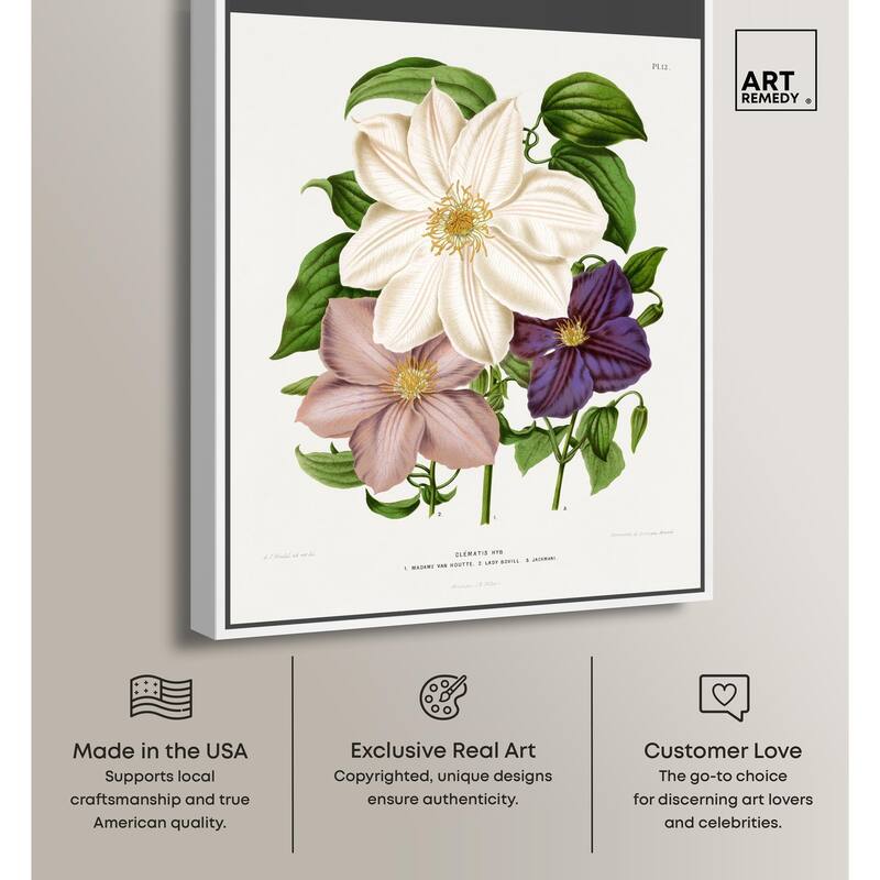 Clematis Canvas by Art Remedy