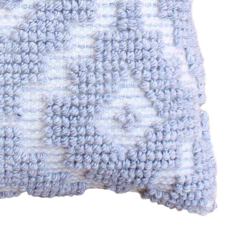 Vicente Hand Woven Polyethylene Terephthalate 20x20 Square Throw Pillow, Light Blue