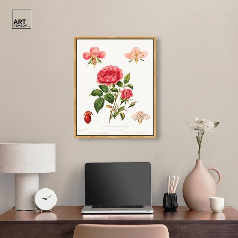 Rose and its parts (1872) Canvas by Art Remedy