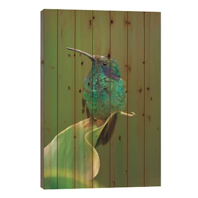 Green Violet-Ear Hummingbird Perched On Leaf, Costa Rica Print On Wood by Thomas Marent - Multi-Color