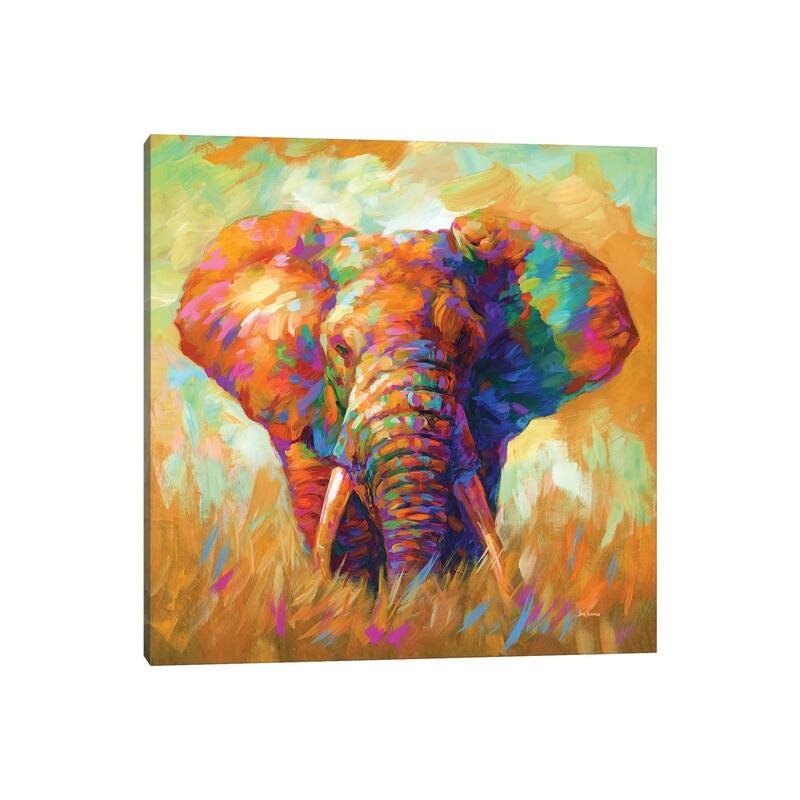 iCanvas "Elephant" by Leon Devenice Canvas Print