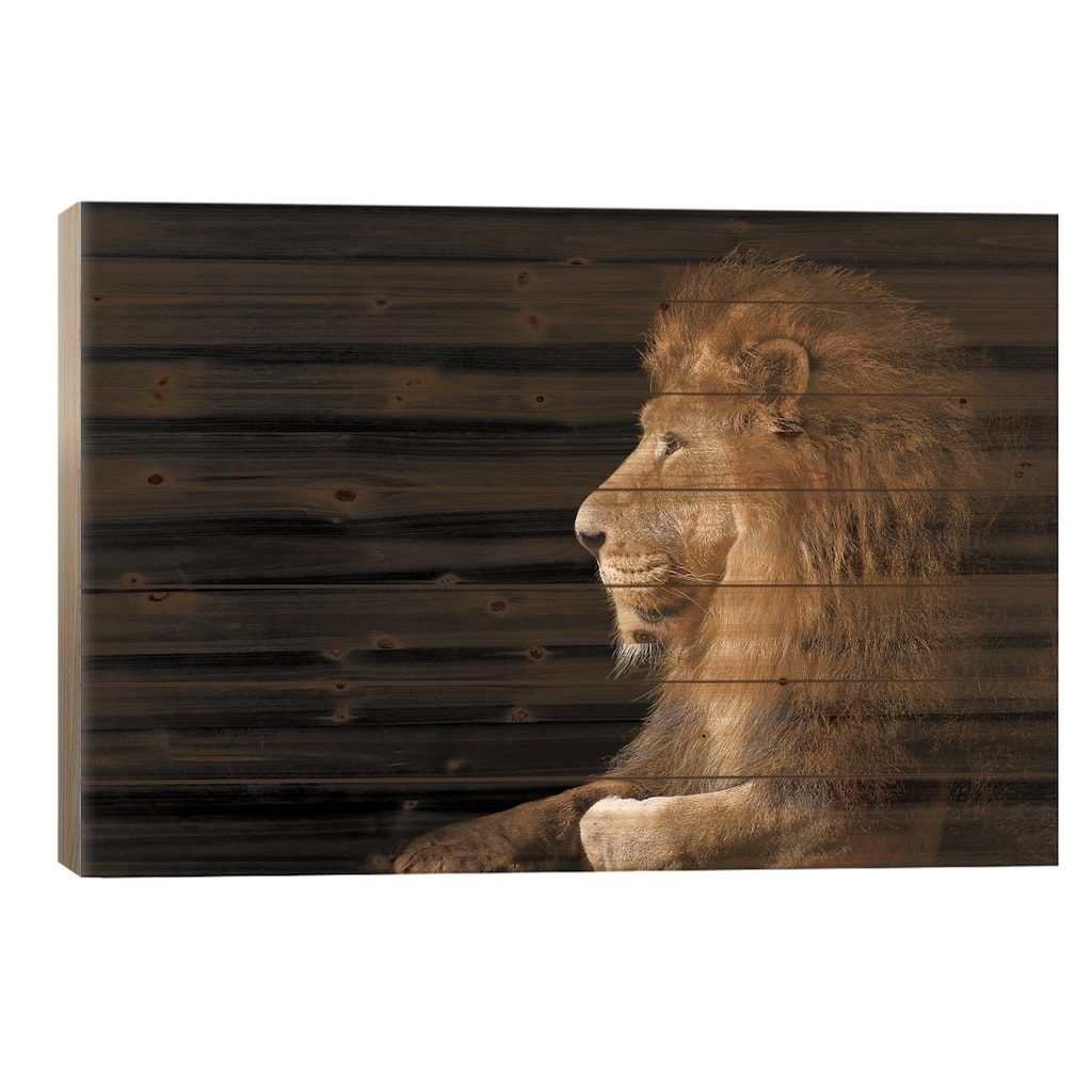 African Male Lion On Black Print On Wood by Adrian Vieriu - Multi-Color