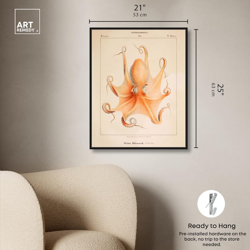 Verany The Octopus 1815 II Canvas by Art Remedy