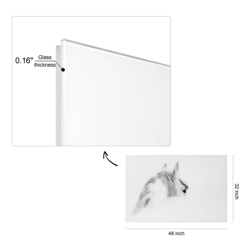 "Blanco Mare Horse" Frameless Free Floating Tempered Glass Panel Graphic Wall Art