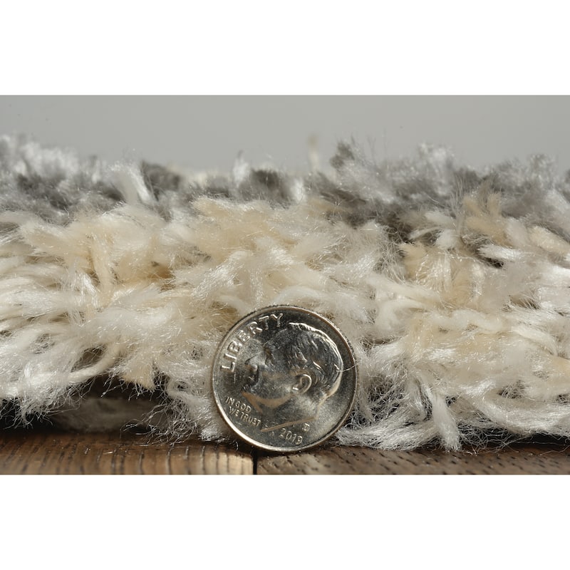 Domani Andrews Modern Shag Area Rug