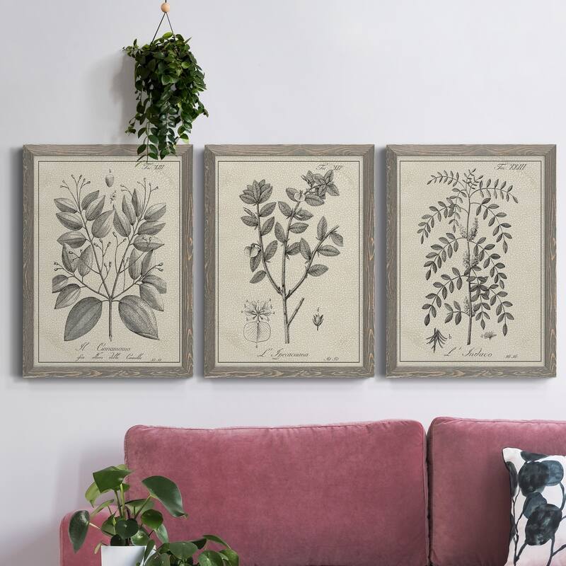 Antique Black & White Botanical VII-Premium Framed Canvas - Ready to Hang - Multi-Color