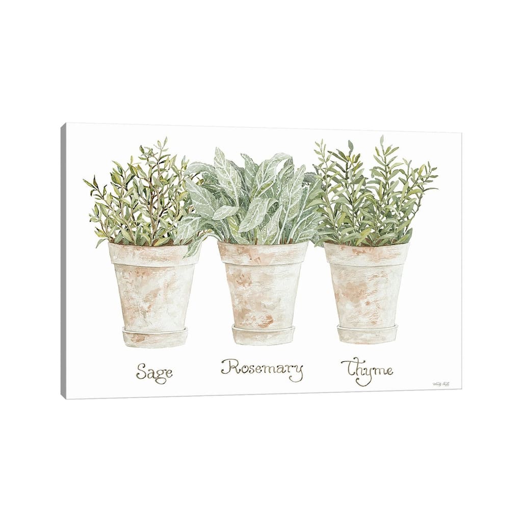 iCanvas "Herb Trio" by Cindy Jacobs Canvas Print