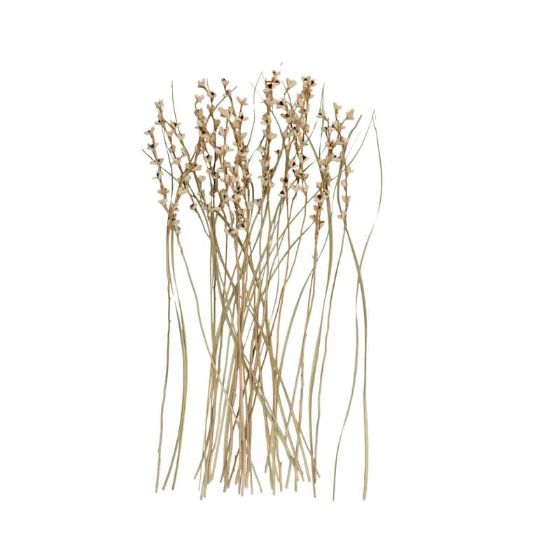 Dried Plant Tall Floral Bouquet Natural Foliage with Brown Stems - Cream - Roche River Decor