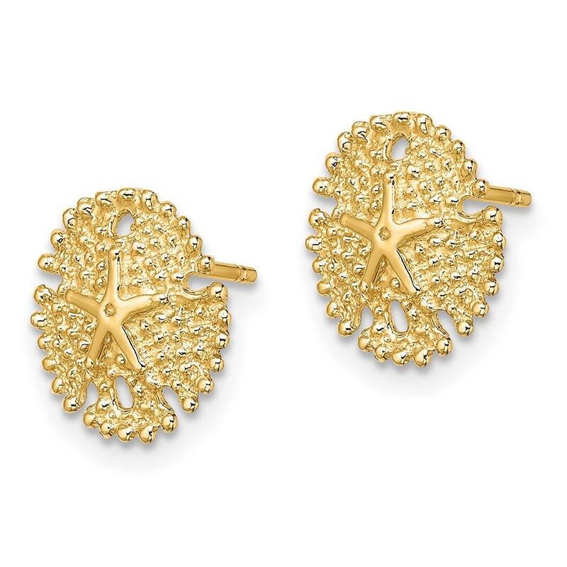 Curata 14k Yellow Gold 10.8mm Sand Dollar Textured Post Earrings