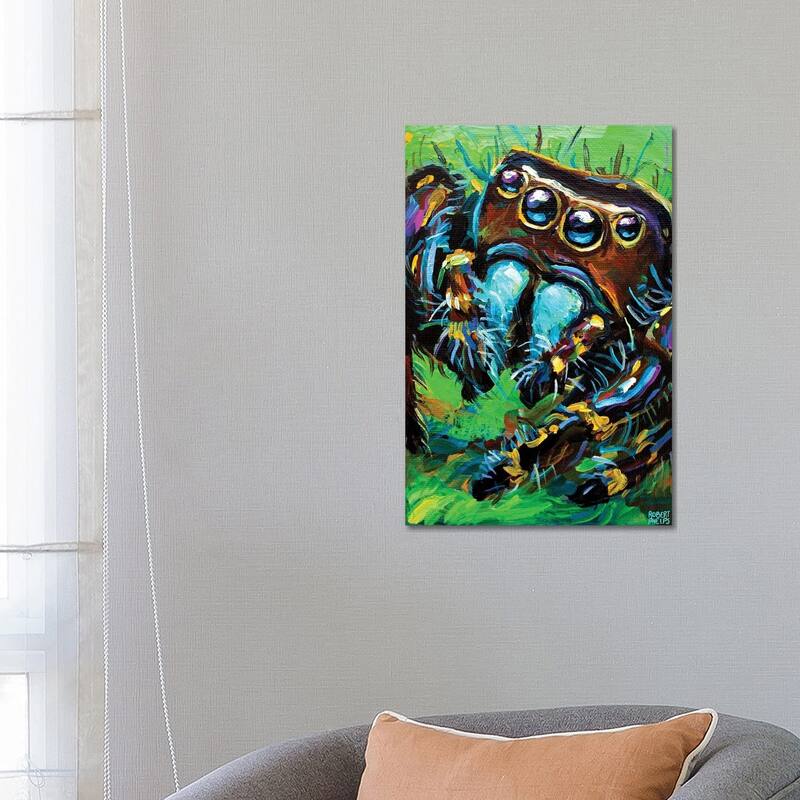 iCanvas "Jumping Spider I" by Robert Phelps Canvas Print - 26x18x1.5
