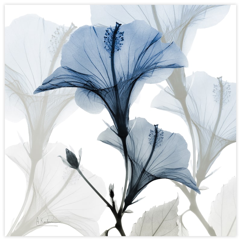 "Blue Xray Floral" Frameless Free Floating Tempered Glass Panel Graphic Wall Art