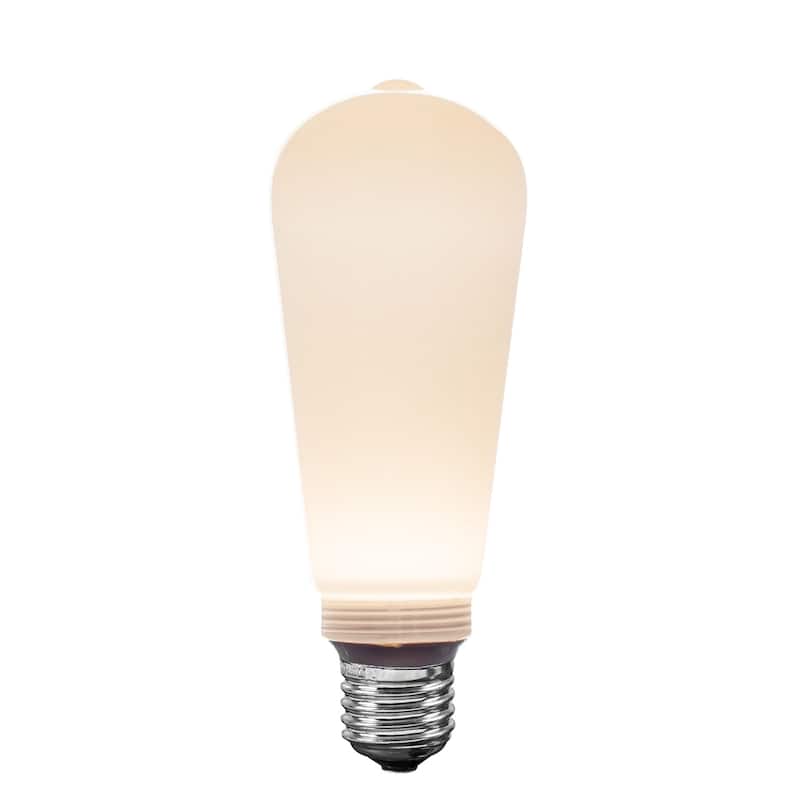 Festive Living LED ST19 + COB Bulb Indoor/Outdoor Covered Edison Bulbs, E26 Base - Velora Light - Large - String Lights