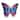 Butterfly Ekko Light Display 17"L