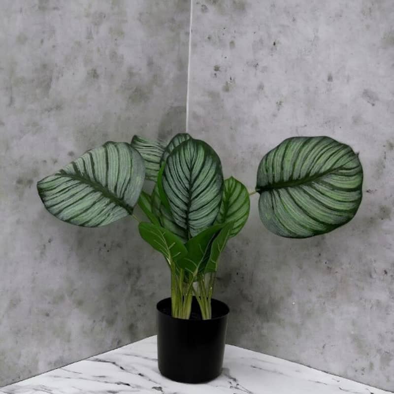 Faux Marantaceae w/ Pot 21"H- A - GREEN