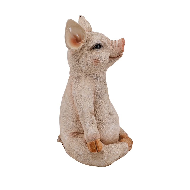 Pig In Meditation