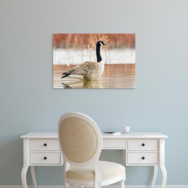 Easy Art Prints Larry Ditto's 'Canada Goose Standing In A Still Marsh' Premium Canvas Art