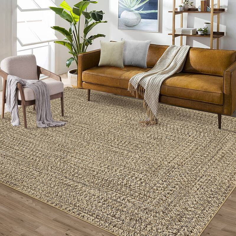 Modern Braided Print Rug Washable Area Rugs for Living Room Bedroom