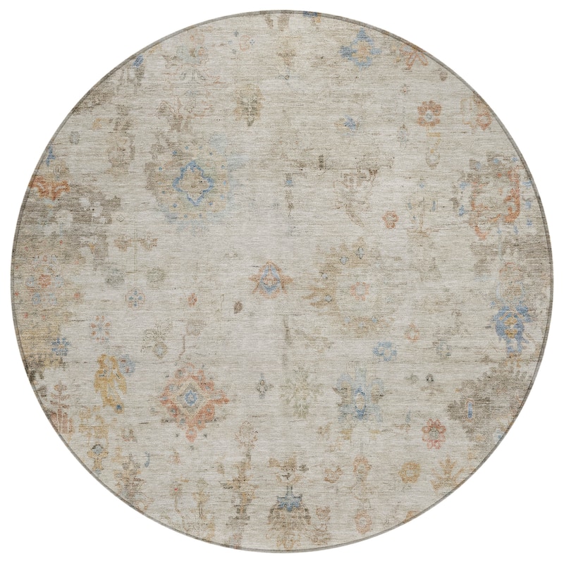Machine Washable Indoor/ Outdoor Vintage Traditional Chantille Rug
