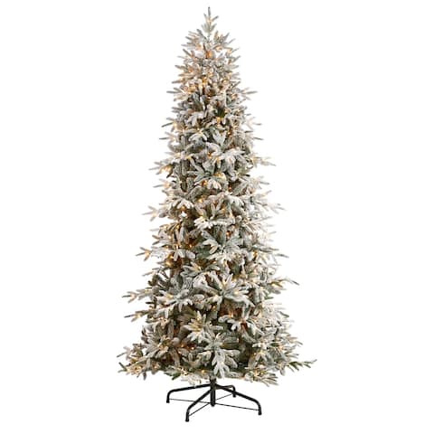 9.5' Flocked Manchester Spruce Christmas Tree - 9.6