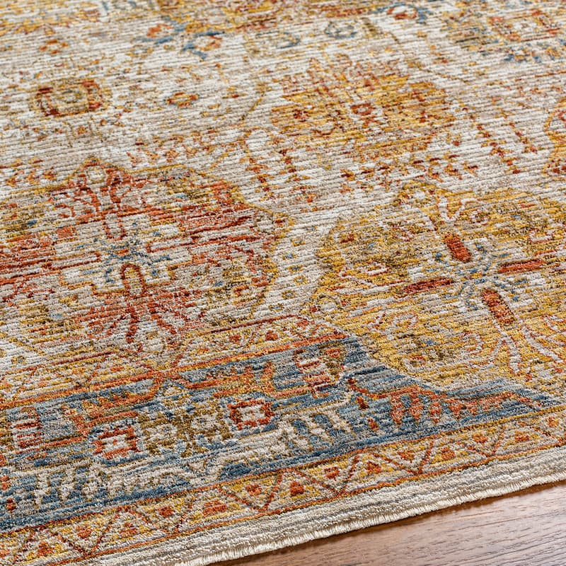 Aiyla Traditional Medallion Area Rug
