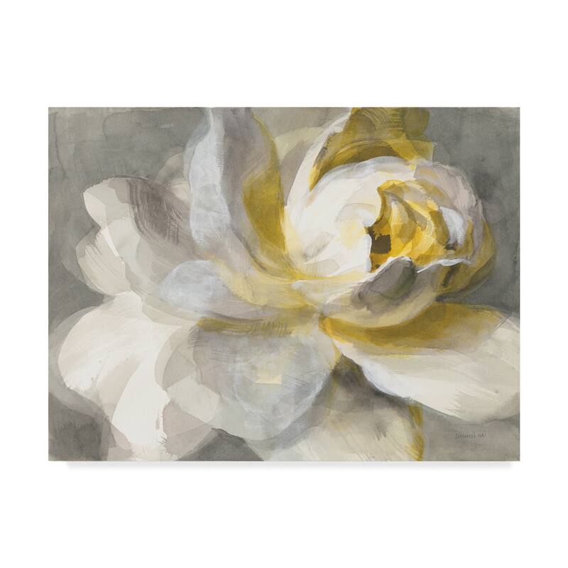 Danhui Nai 'Abstract Rose' Canvas Art