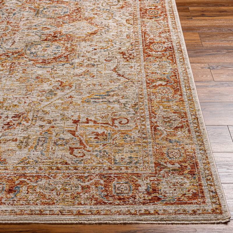 Zeynepe Traditional Medallion Area Rug
