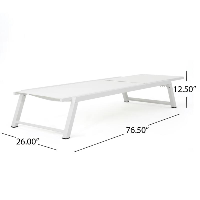 Myers Outdoor Mesh Chaise Lounge (Set of 2) by Christopher Knight Home