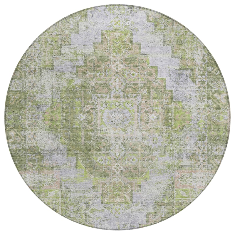 Machine Washable Indoor/Outdoor Traditional Global Chantille Rug