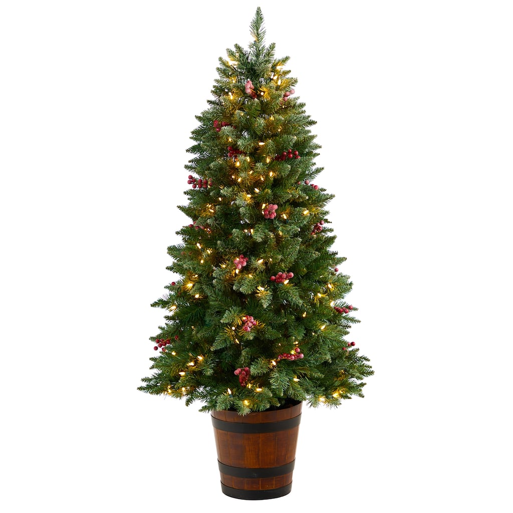 5' Frosted Colorado Aspen Pre-Lit Christmas Tree with 200 LED lights - 60