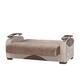 Option Brown-1
