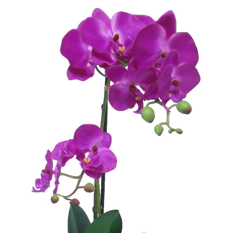 Artificial Phalaenopsis Orchid Flower Arrangement in Pot 16in