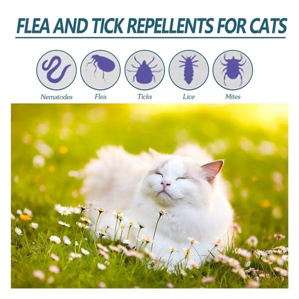 Effective Pet Flea Drops for Cats Dogs Ticks Lice Mite Treatment As