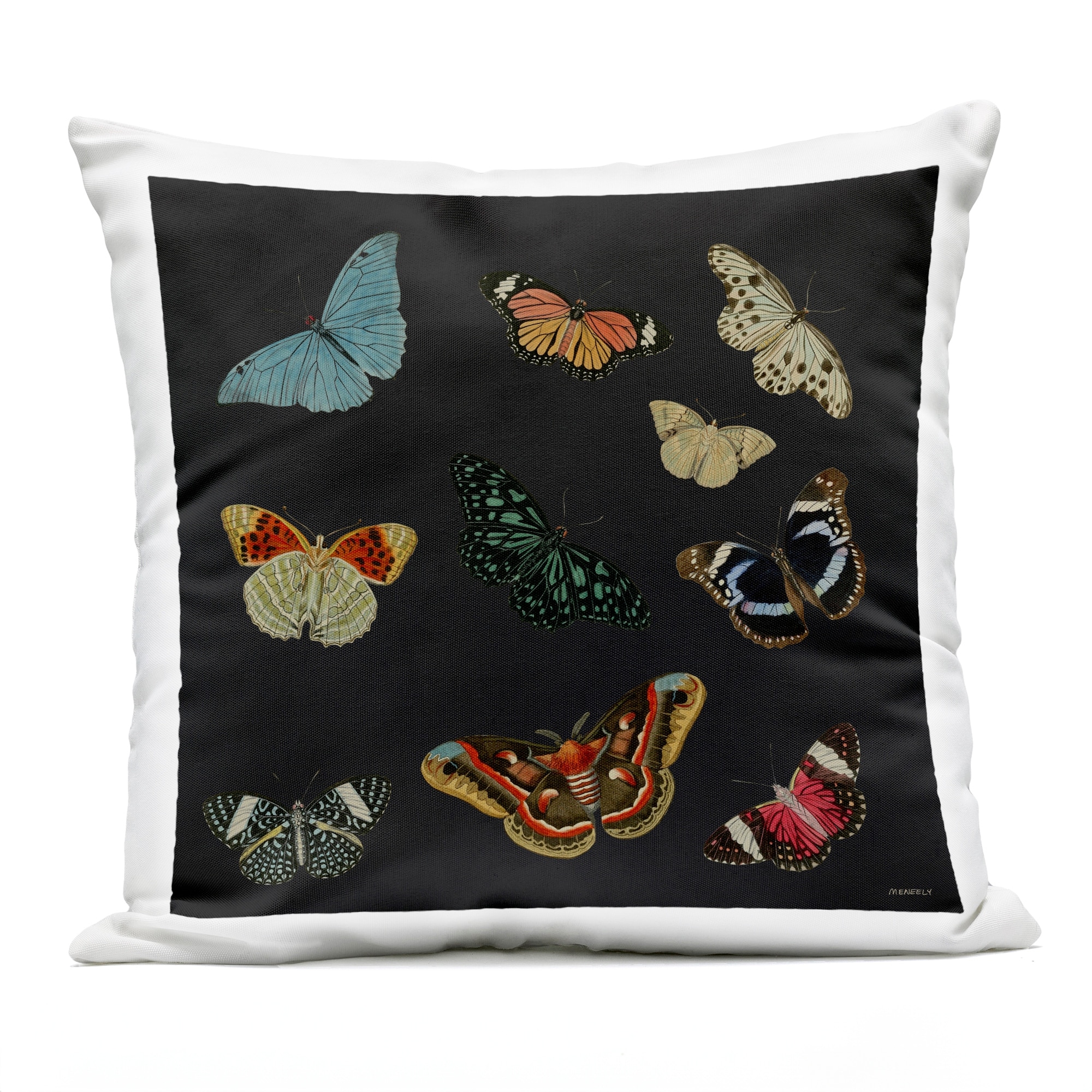 Stupell Butterfly Assortment on Black Printed Outdoor Throw Pillow Design by Dan Meneely