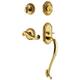 Option Lifetime Brass