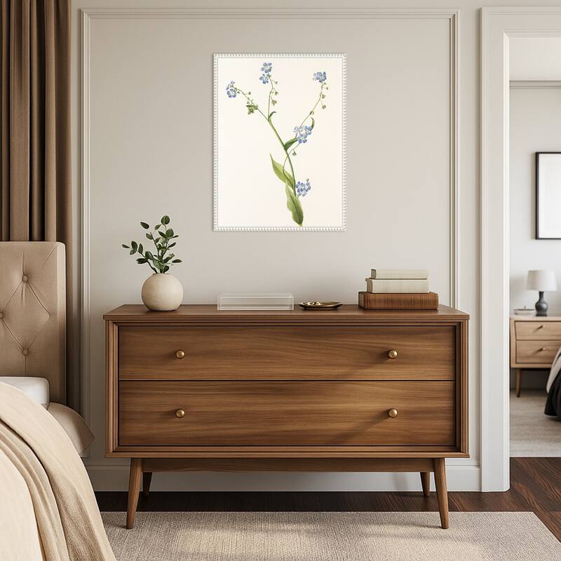 Bur Forget Me Not From North American Wildflowers (1925) by Mary Vaux Walcott (18 x 24 in.), Framed Canvas Wall Art Print