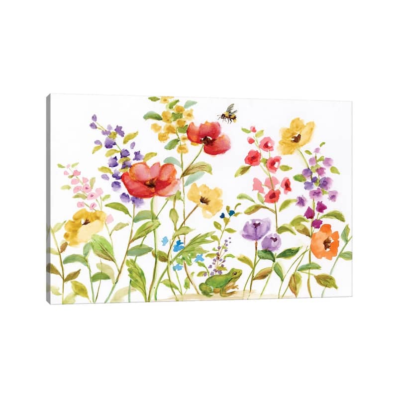 iCanvas "Garden Frog" by Nan Canvas Print