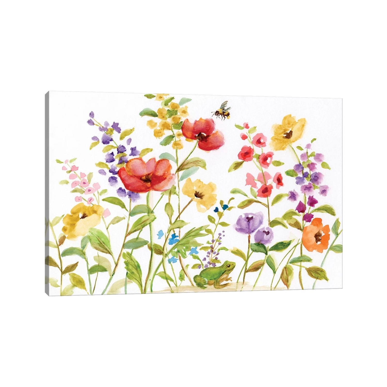 iCanvas "Garden Frog" by Nan Canvas Print