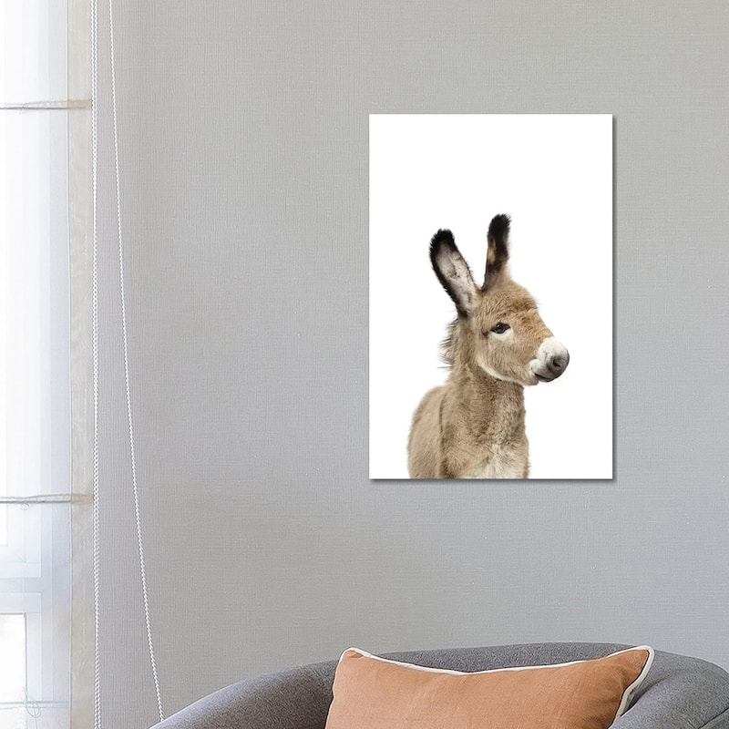 iCanvas "Baby Donkey" by Sisi & Seb Canvas Print - 26x18x1.5