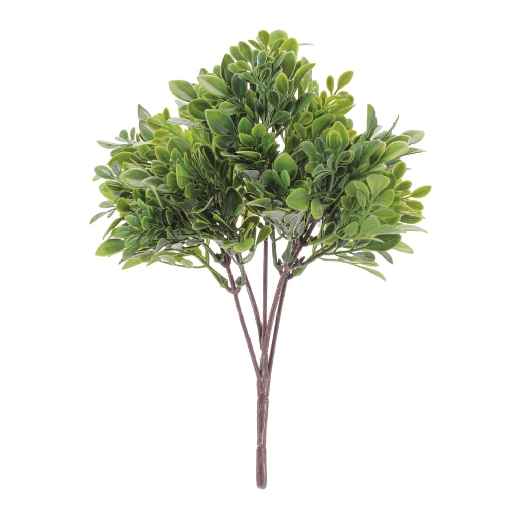 Boxwood Foliage Bush (Set of 6)