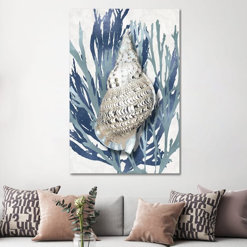 iCanvas "Shell Coral Aqua Blue I" by Caroline Kelly Canvas Print