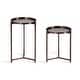 preview thumbnail 15 of 19, Kate and Laurel Aguilar Plant Stand Set - 2 Piece