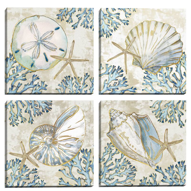 Playa Shells I - IV by Paul Brent Canvas Art Prints