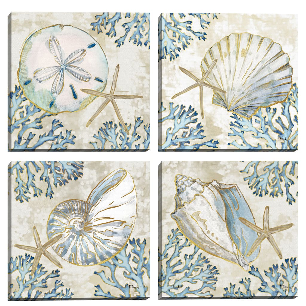 Playa Shells I - IV by Paul Brent Canvas Art Prints