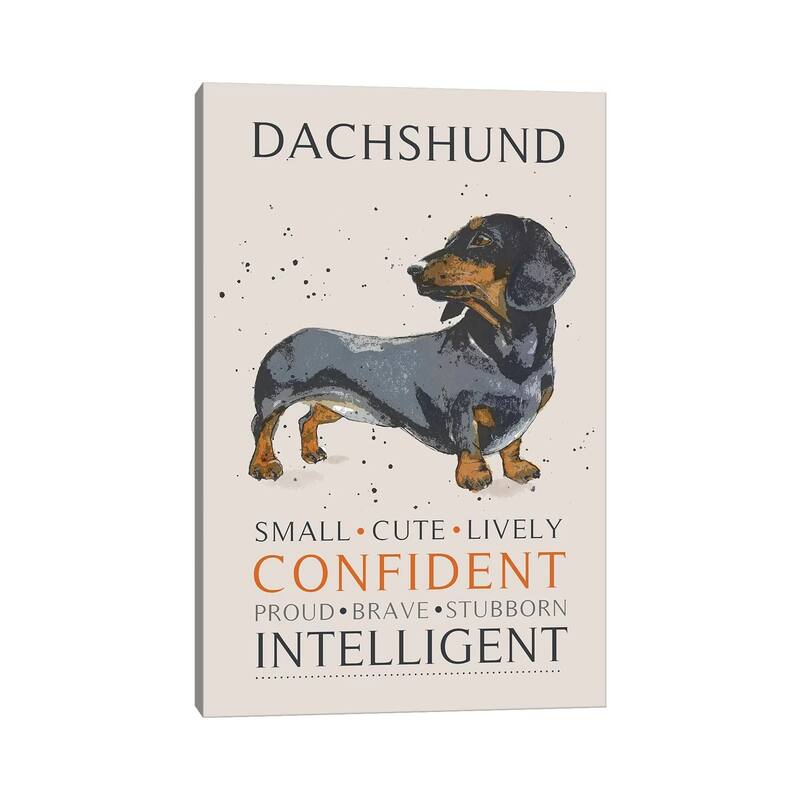 iCanvas "Dachshund" by Michelle Campbell Canvas Print