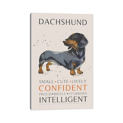 iCanvas "Dachshund" by Michelle Campbell Canvas Print